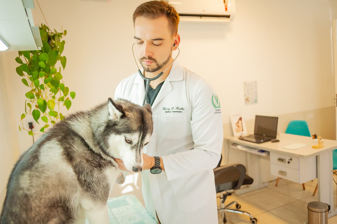 Veterinário